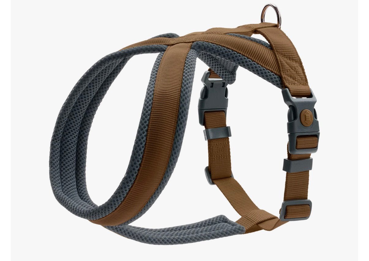 Hunter London Y-tuig, luxe gevoerd mt. S-M 52-62 cm. NIEUW, Ophalen of Verzenden, Nieuw