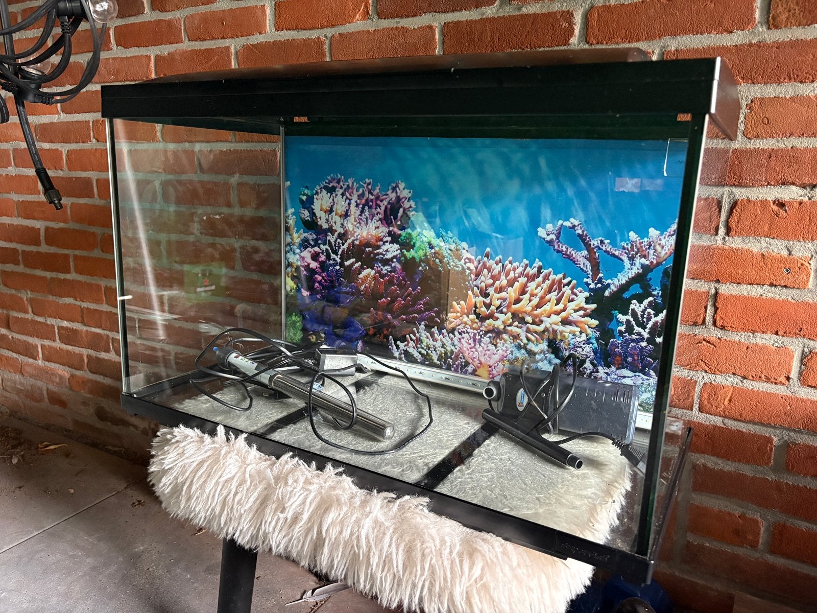Te koop aquarium Superfish Starter kit 100 (zwart), Ophalen, Inclusief deksel, Zo goed als nieuw, Leeg aquarium