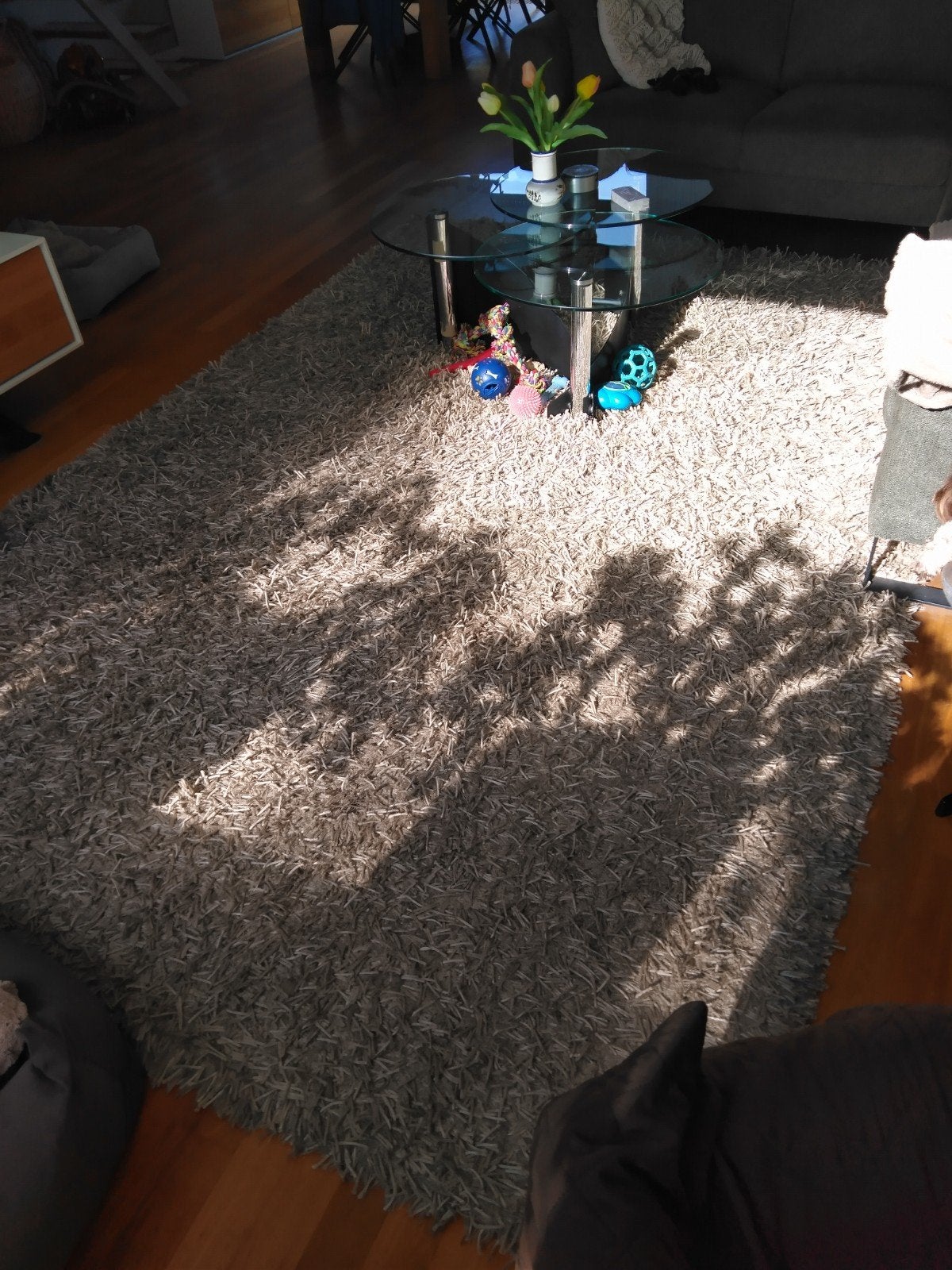 hoogpolig tapijt gratis, Ophalen, Gebruikt, 200 cm of meer, 200 cm of meer
