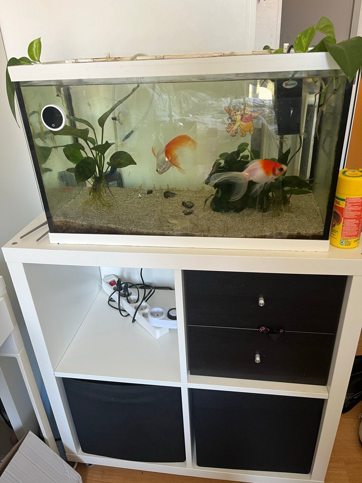Aquarium 60L + kallax kast met inzet, Ophalen, Leeg aquarium