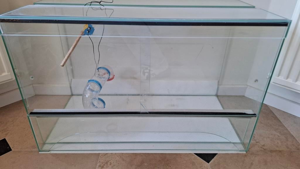 Hamsterkooi en toebehoren, Dieren en Toebehoren, Kooi, Gebruikt, Muis, 75 tot 110 cm
