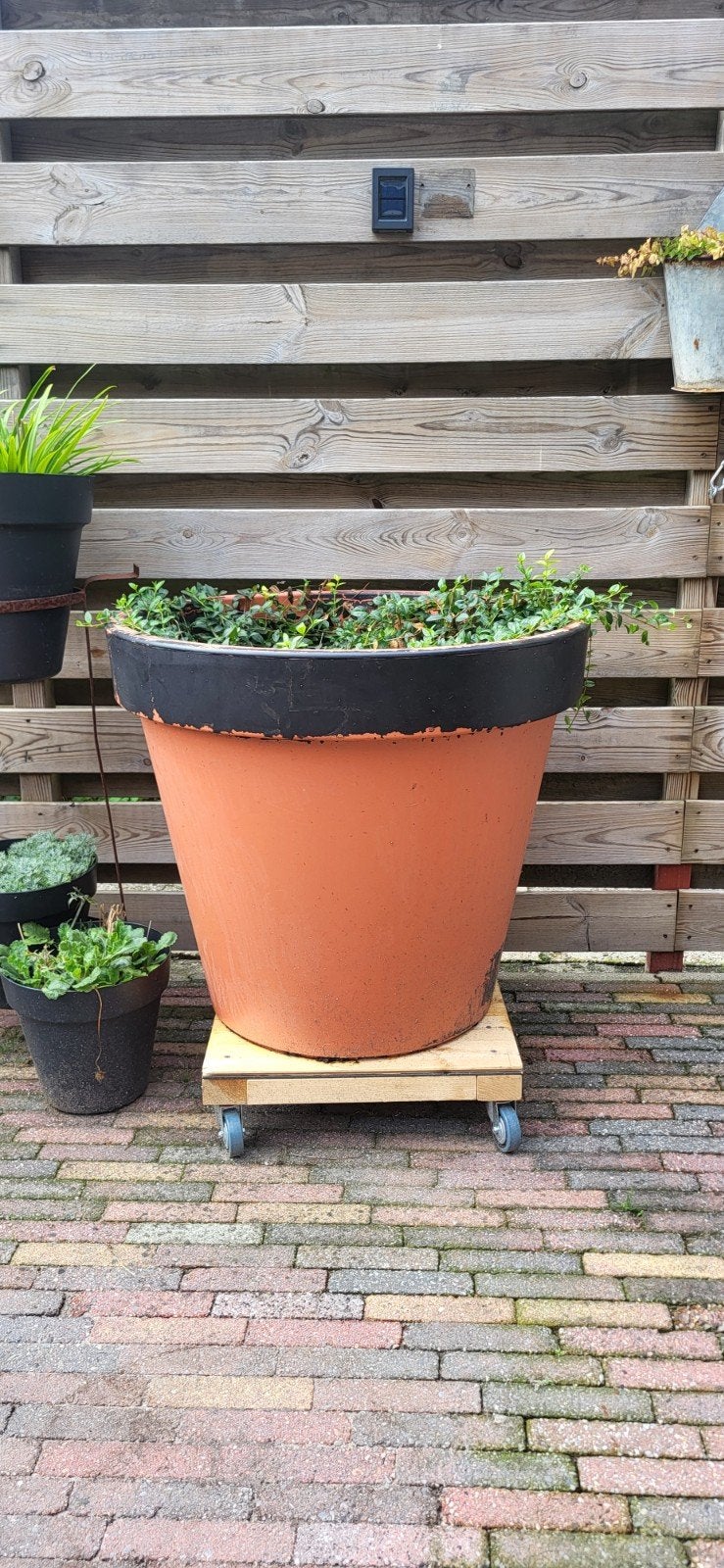 Plantenbakken, Tuin en Terras, Bloembakken en Plantenbakken, Ophalen, Rond, Kunststof