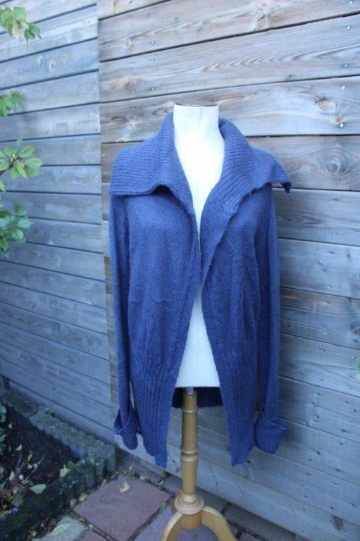 Vest blauw Stella Forest mt T1 (42-44) Vaste prijs, Kleding | Dames, Truien en Vesten, Zo goed als nieuw, Maat 42/44 (L), Blauw