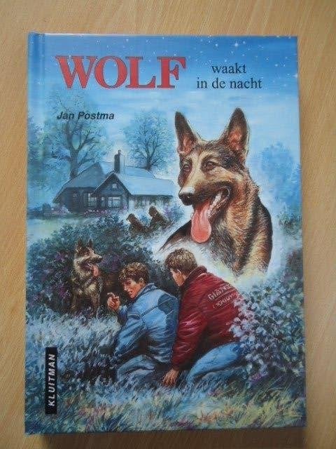 Wolf waakt in de nacht, Jan Postma, Ophalen of Verzenden, Zo goed als nieuw