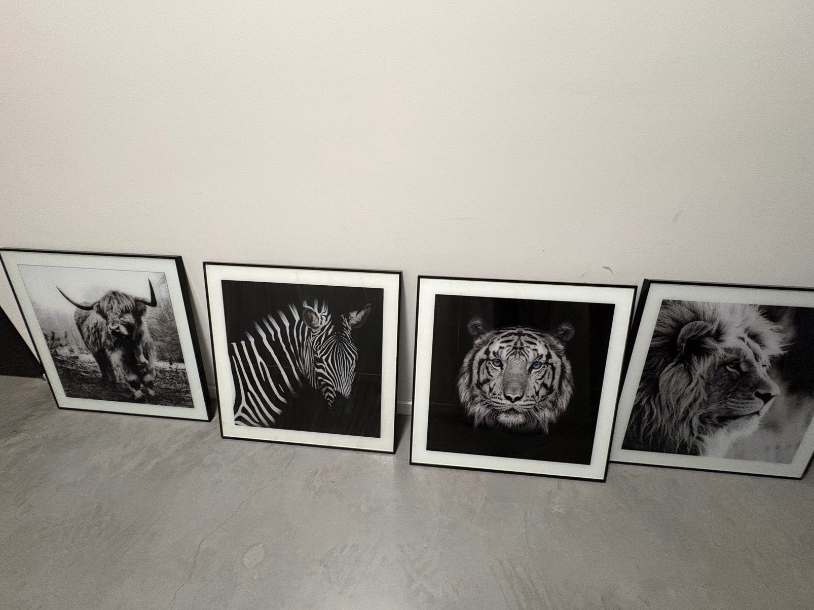 Fotolijsten met posters van prachtige dieren., Ophalen of Verzenden, Schilderij, Minder dan 50 cm