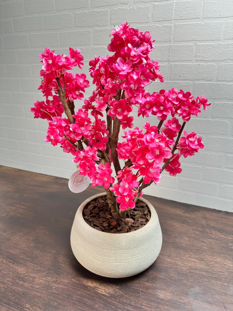 Petite Blossom Fuchsia, Ophalen, Nieuw