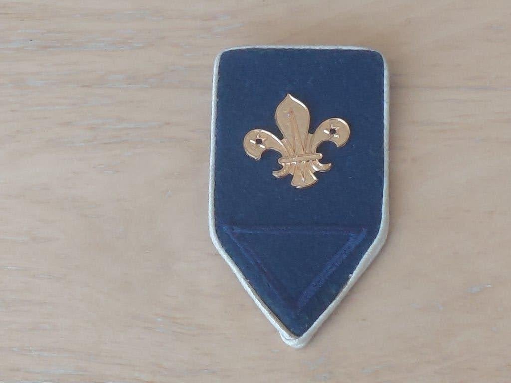 Kraagspiegel met embleem scouting, Verzamelen, Scouting, Ophalen of Verzenden, Zo goed als nieuw, Embleem, Speld of Insigne