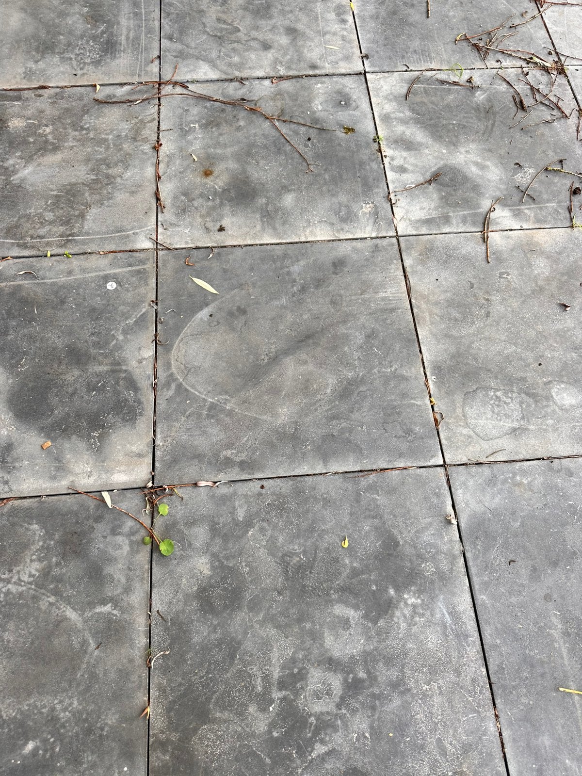 Nieuwe Hardsteen natuursteen tegels 60x60x2 cm - ca. 18m², Tuin en Terras, Ophalen, Nieuw, Terrastegels, Natuursteen
