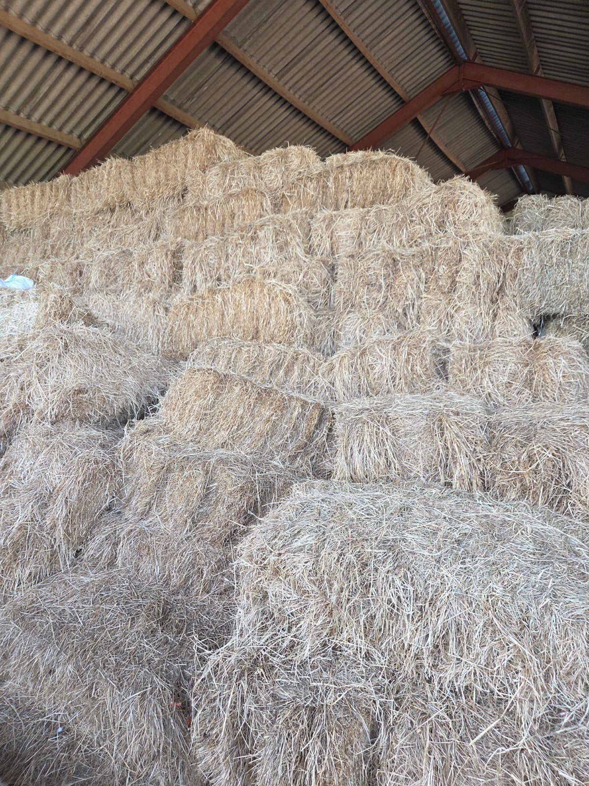 Hooi balen te koop - Vers en van hoge kwaliteit, Dieren en Toebehoren, Ophalen, Vee