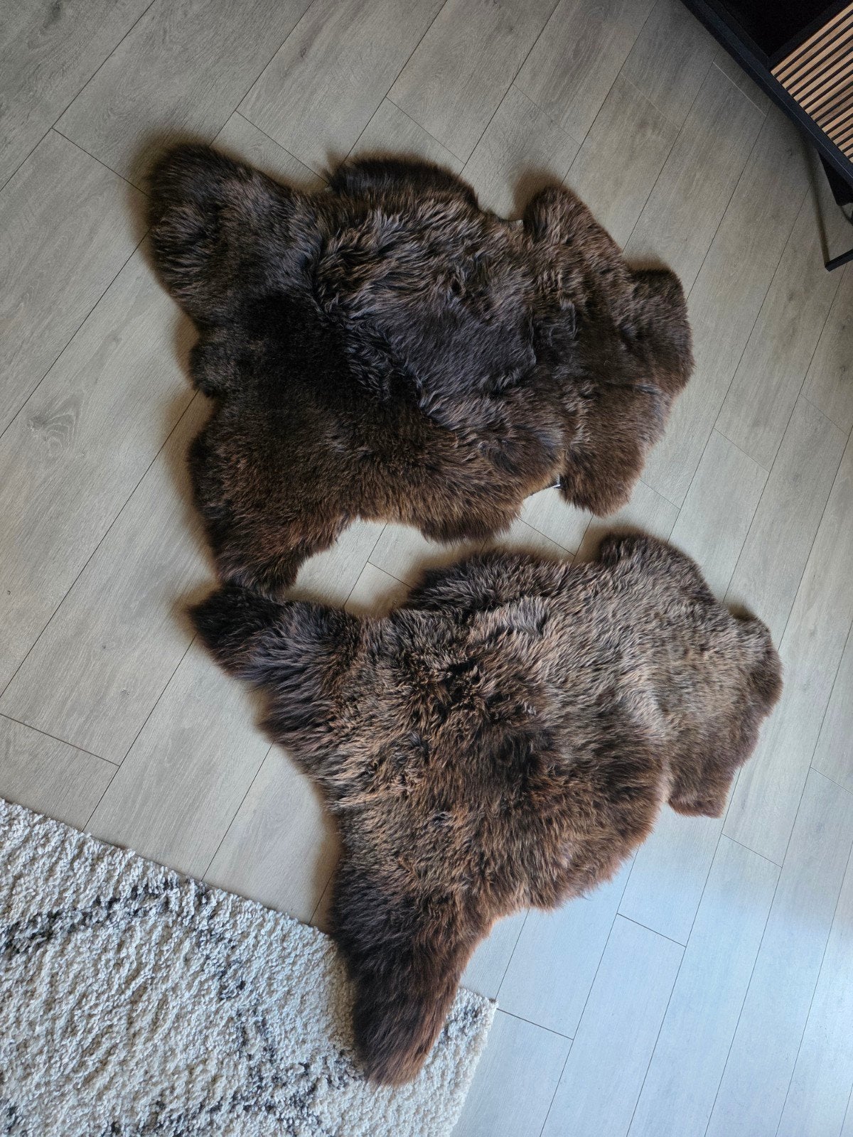 Schapenvachten 2stuks bruin., Ophalen of Verzenden, Nieuw