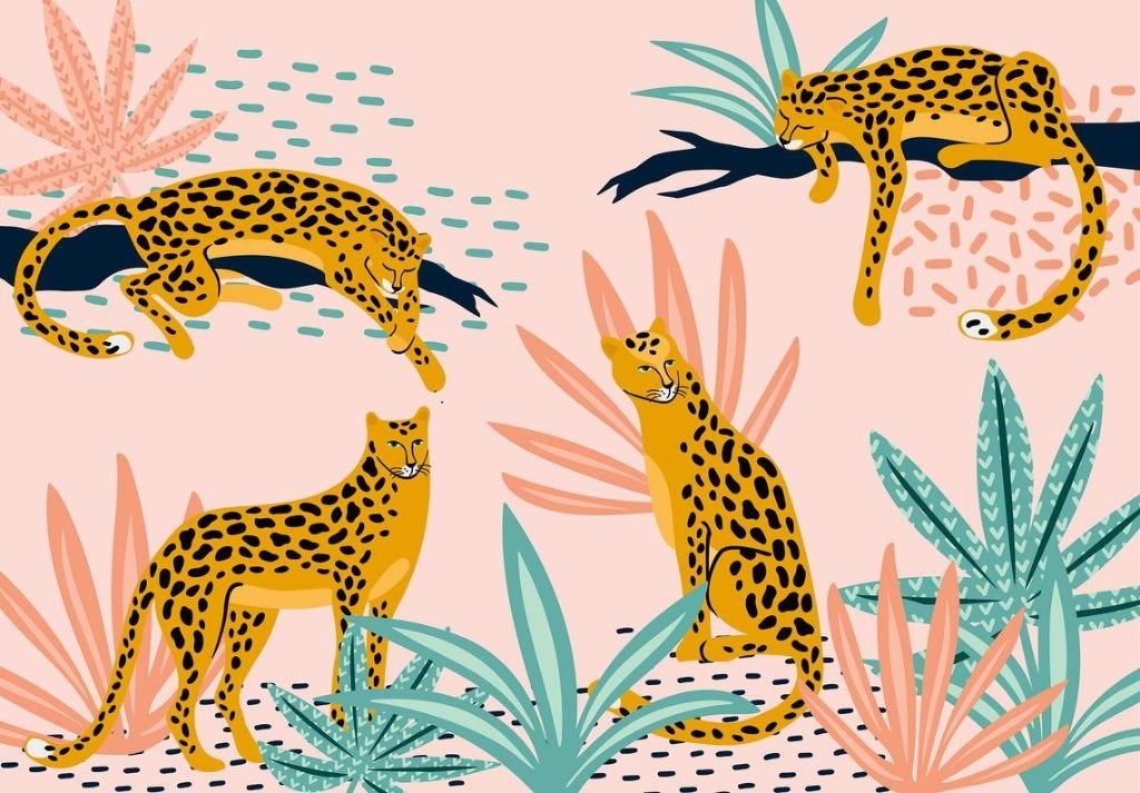 Luipaard behang Safari, Panter, Cheetah, Muurdeco4kids, Verzenden, Fotobehang