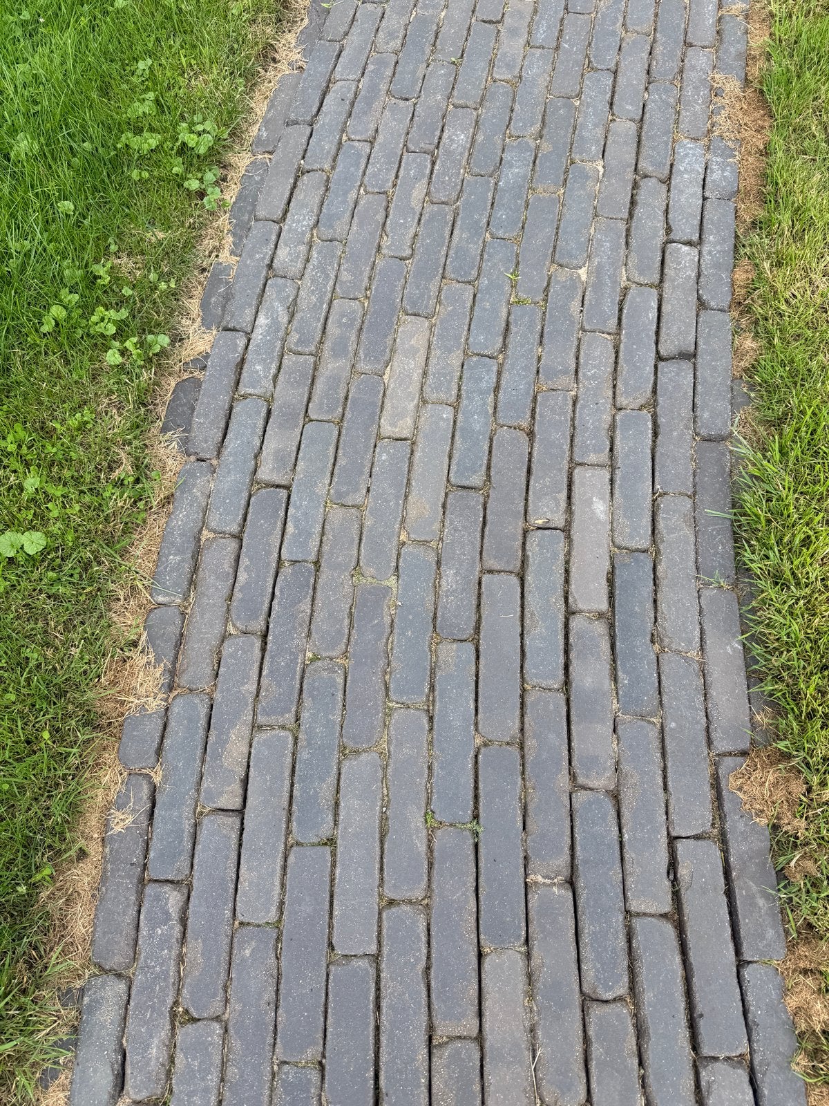 Klinkers 20x10x5 cm - 1350 stuks voor terras of oprit, Ophalen, Gebruikt, Klinkers, 10 m² of meer