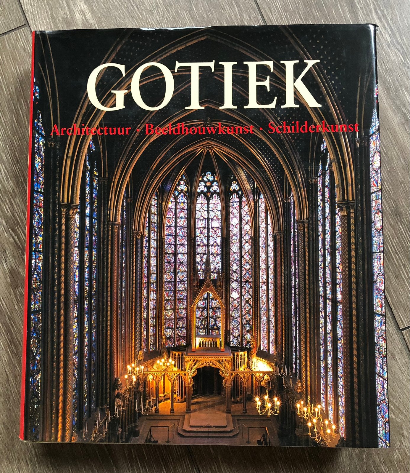 Boek - GOTIEK - Architectuur- Beeldhouwkunst- Schilderkunst, Ophalen of Verzenden, Gelezen, Architecten