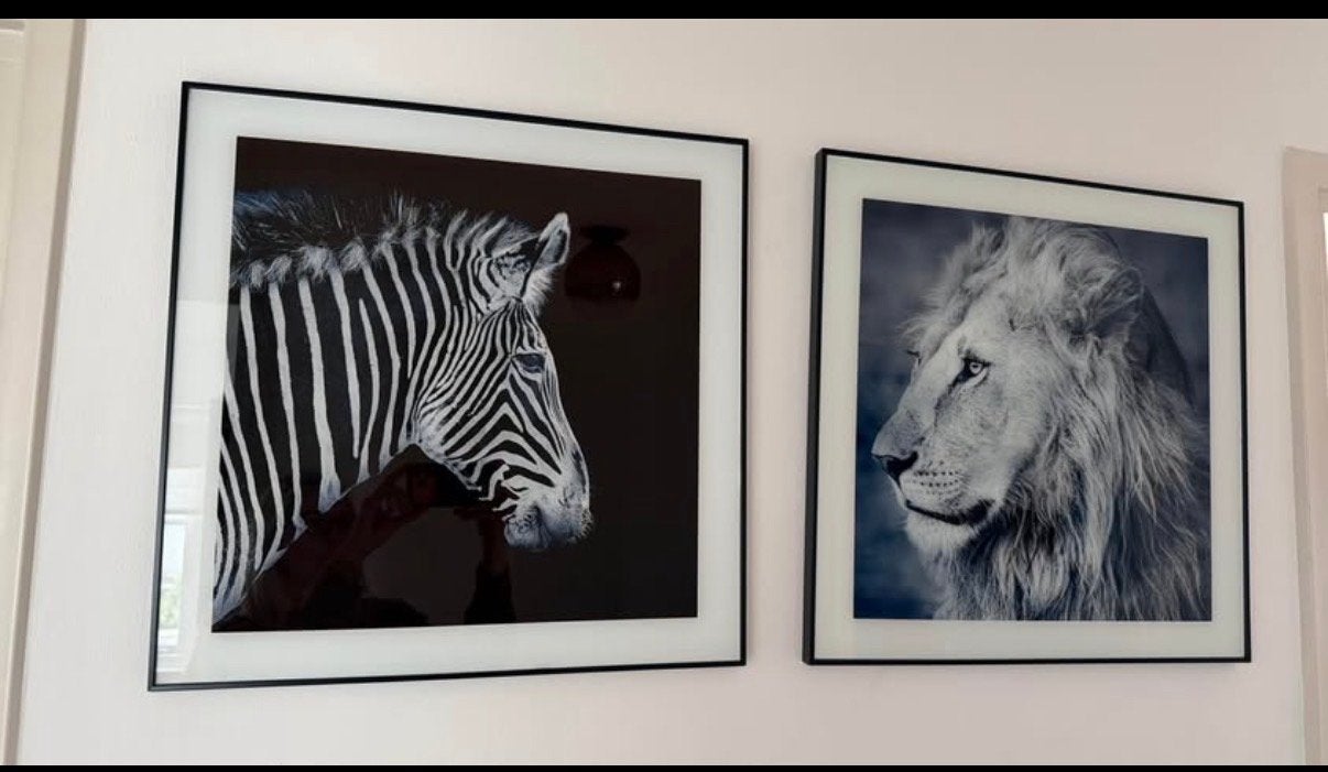 Set van 2 ingelijste prints: Zebra en Leeuw, Huis en Inrichting, Woonaccessoires | Schilderijen, Tekeningen en Foto's, Ophalen