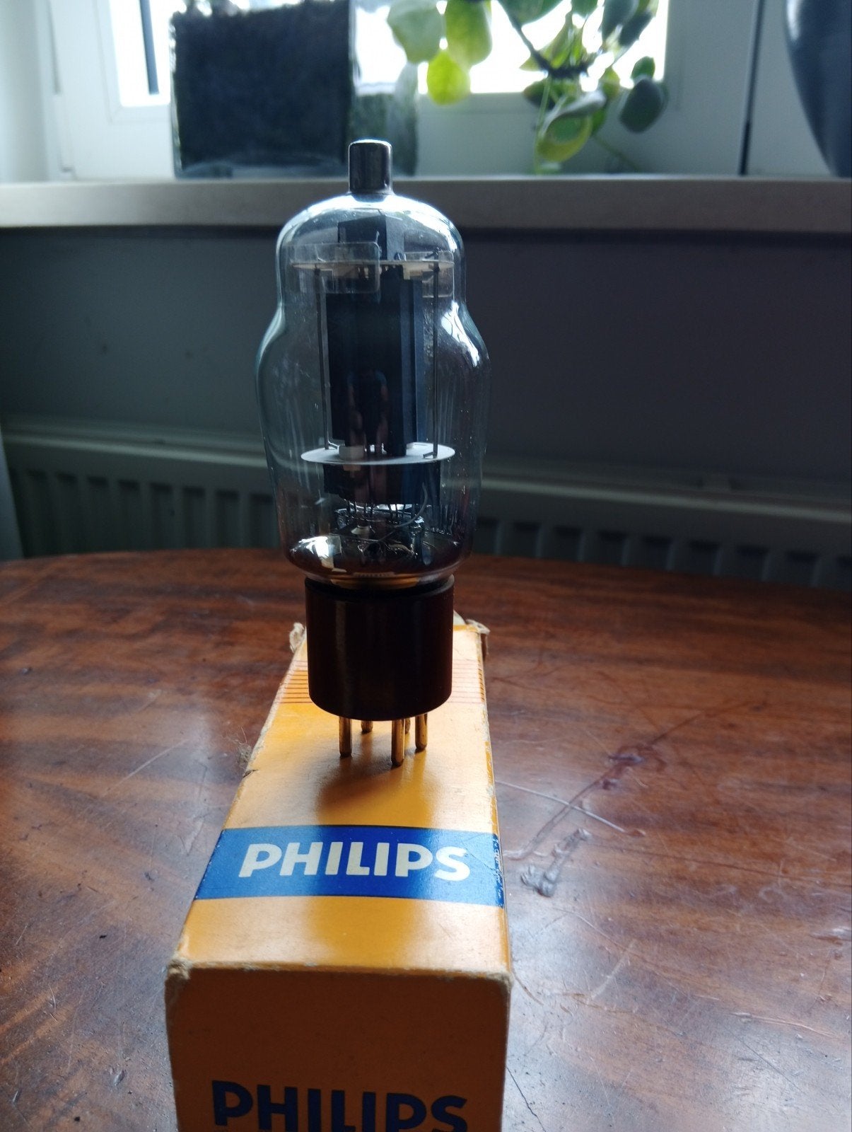 Philips qe 06/50 nos, Ophalen of Verzenden, Nieuw