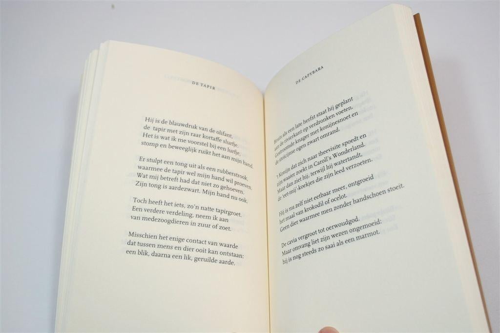 Traliedieren — Patty Scholten [Gedichten], Ophalen of Verzenden, Gelezen
