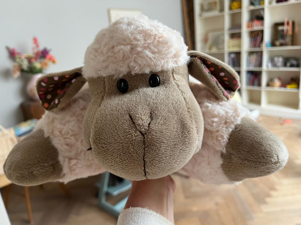 Nieuw: knuffelkussen schaap, gekocht op Texel, Ophalen of Verzenden, Nieuw