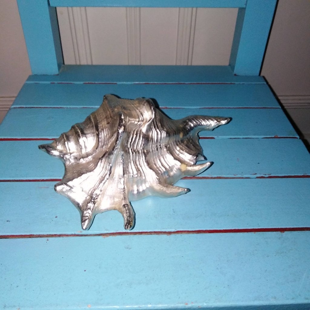 2 Decoratieve schelpen en 1 zeester zilverkleur en goudkleur, Ophalen, Gebruikt, Overige stijlen, Natuurlijk materiaal