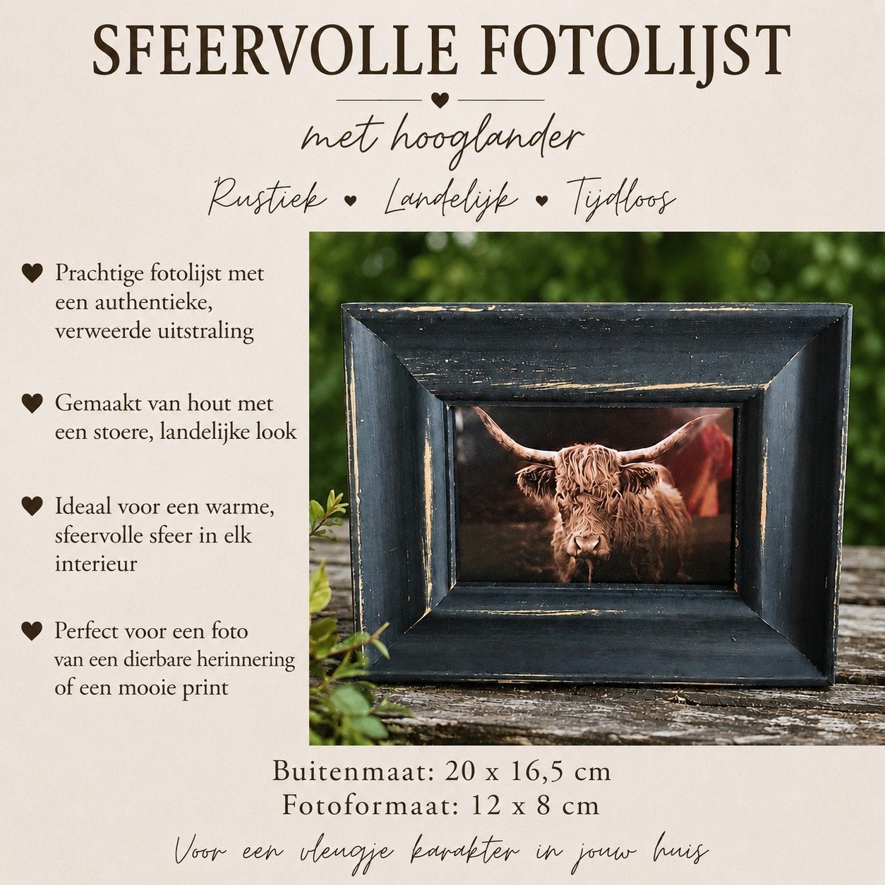 Mooie fotolijst met hooglander, Ophalen of Verzenden, Fotolijst