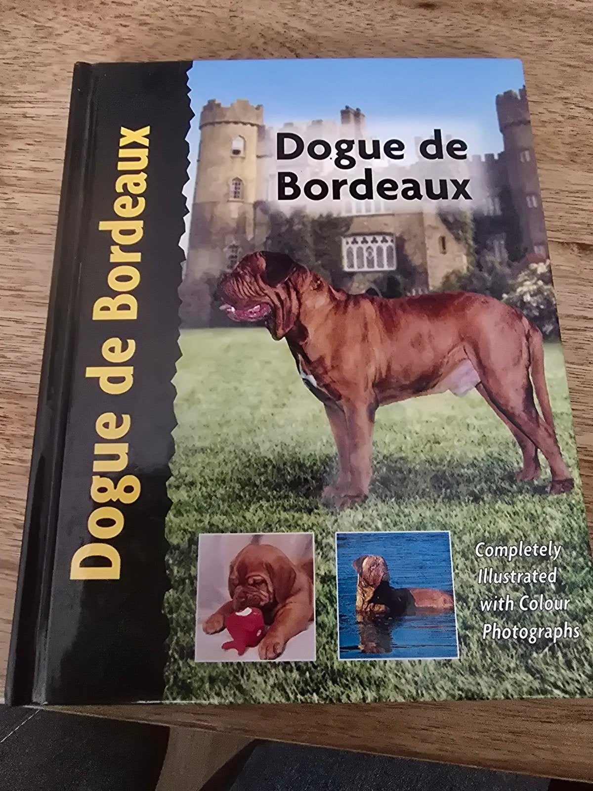 Dogue de Bordeaux Boek - Alles over het ras, Ophalen of Verzenden, Zo goed als nieuw, Honden, Vincent Lane
