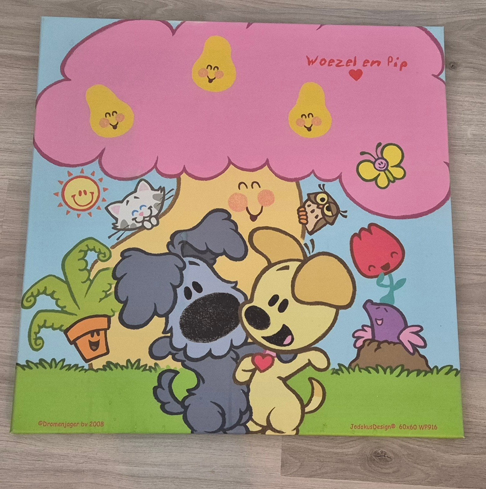 Woezel en Pip Schilderij Canvas 60x60 cm Kinderkamer, Ophalen, 50 – 75, Gebruikt, Schilderij