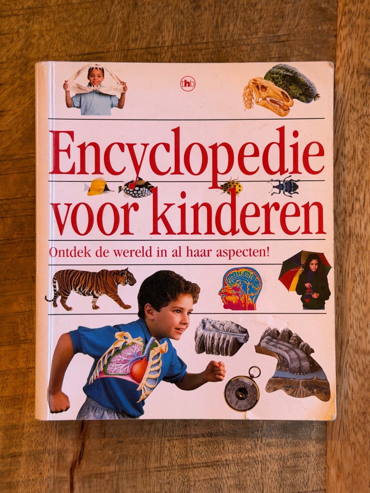 Boek: Encyclopedie voor kinderen - Ontdek de wereld (2000), Boeken, Encyclopedieën, Ophalen of Verzenden, Gelezen, Algemeen, Los deel