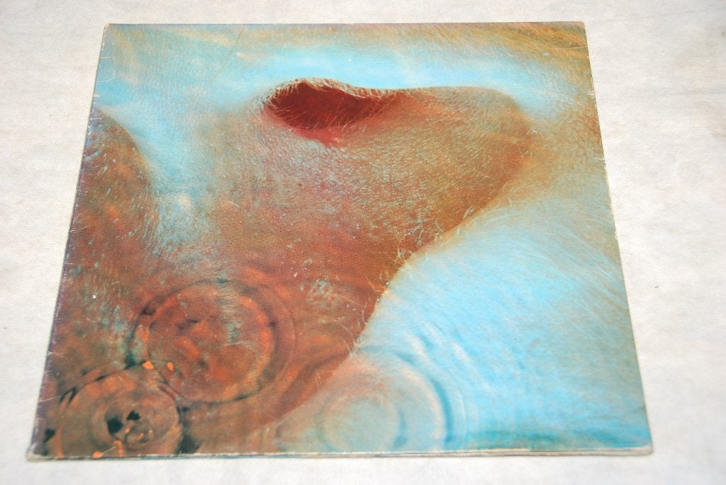 Pink Floyd – Meddle LP Vinyl, Cd's en Dvd's, LP, 12 inch, Progressive Rock, Gebruikt