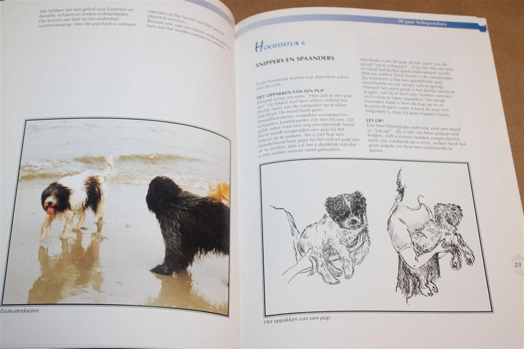 Een Doesje Kijkt U Aan — De Nederlandse Schapendoes, Boeken, Ophalen of Verzenden, Zo goed als nieuw, Honden