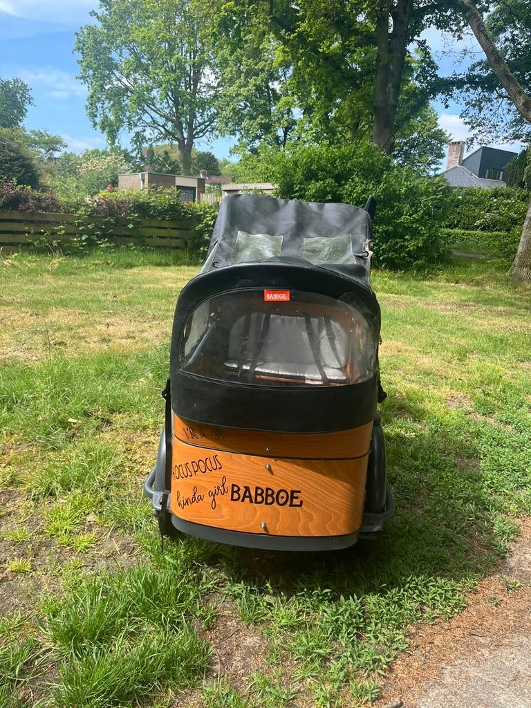 Babboe curve-e met check(4 kindjes), Fietsen en Brommers, Fietsen | Bakfietsen, 4 kinderen of meer, Gebruikt, Huif, Ophalen