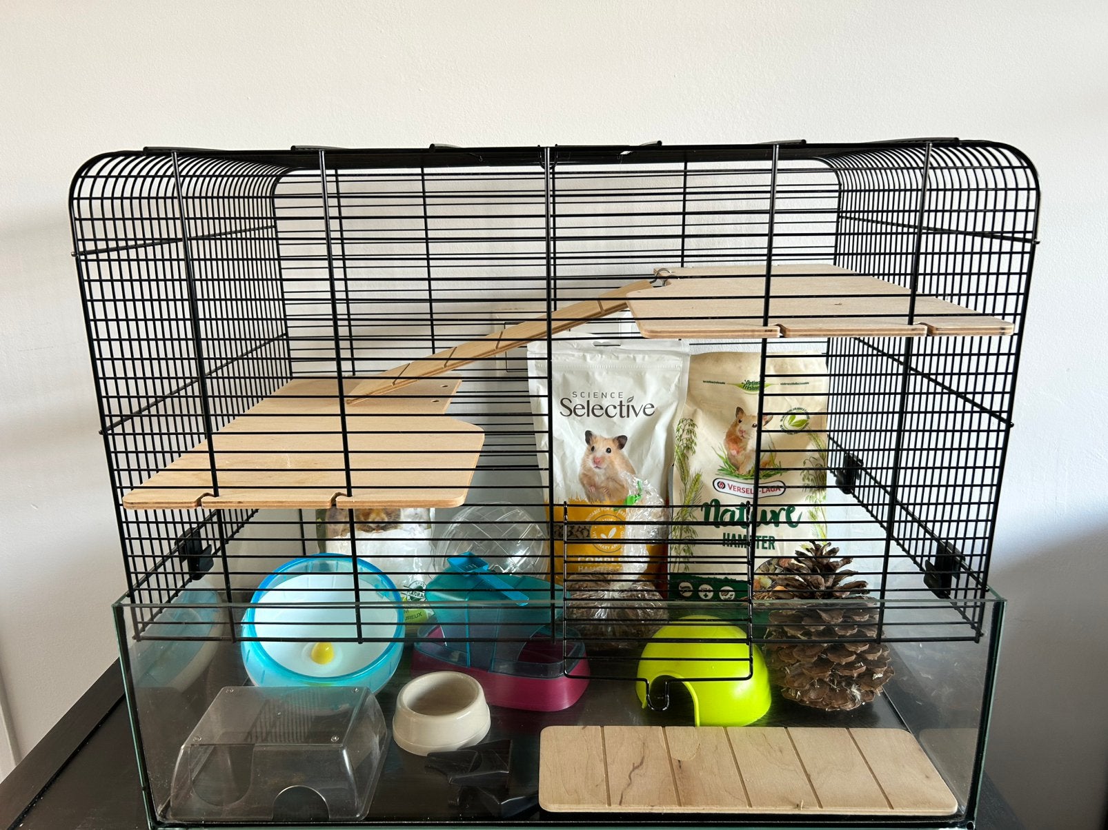 Hamsterkooi, Dieren en Toebehoren, Kooi, Minder dan 75 cm, Zo goed als nieuw, Muis