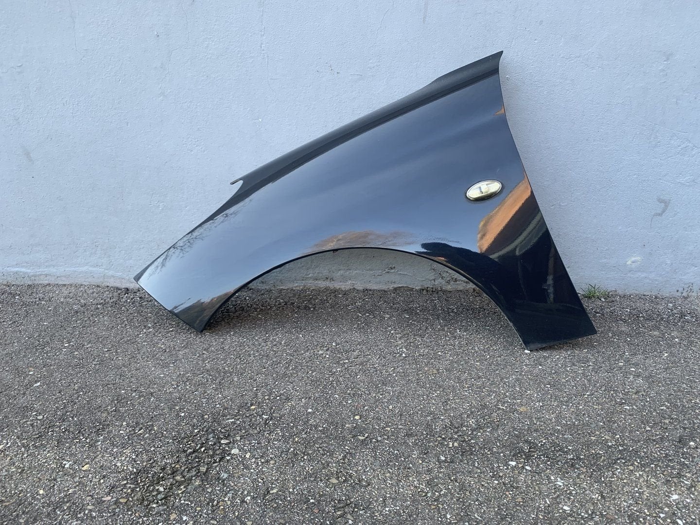 zijscherm Links peugeot 206+  206PLUS 2009 tot 2013 grijs, Gebruikt, -, -, Ophalen of Verzenden