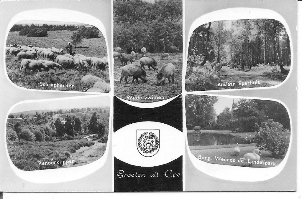 Oude ansichtkaart Groeten uit Epe ., Ophalen of Verzenden, 1960 tot 1980, Gelopen, Gelderland