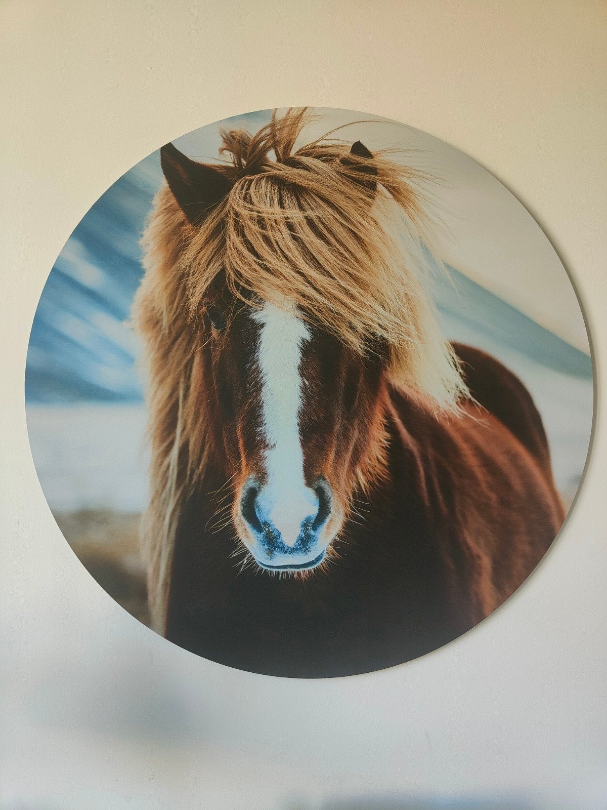 Muurcirkel paard (IJslander), diameter 80cm, Ophalen, 75 tot 100 cm, 75 – 100, Print