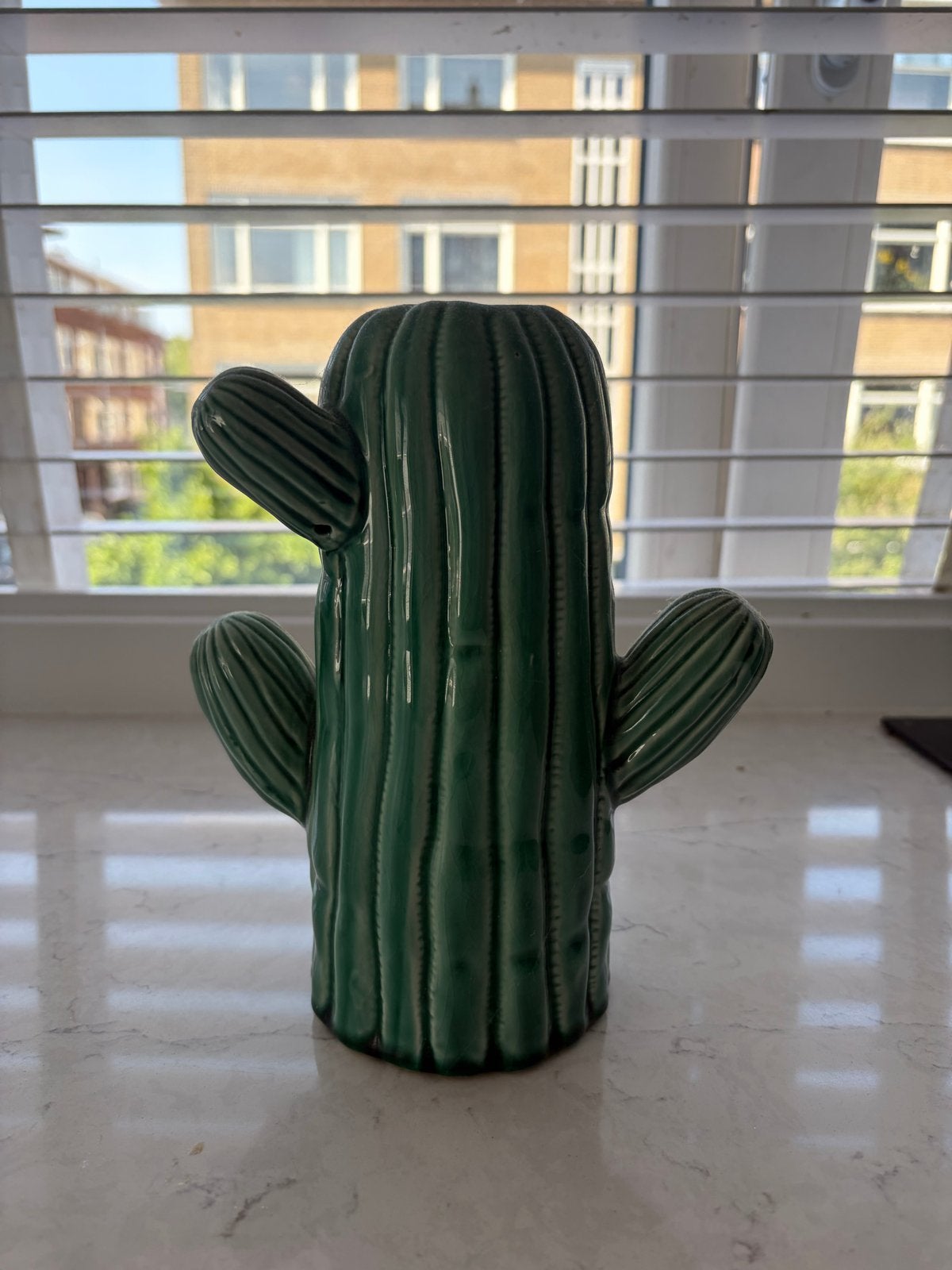 Groene Cactus Vaas - Keramiek, Huis en Inrichting, Ophalen of Verzenden, Zo goed als nieuw, Groen