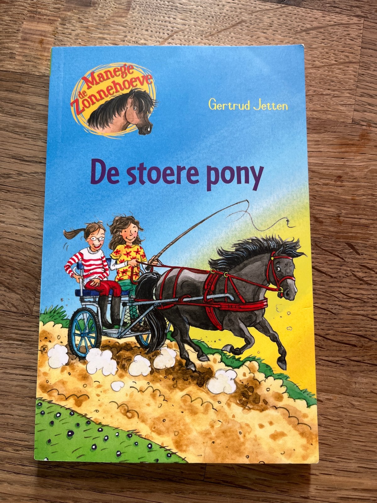 De stoere pony - De Manege Zonnehoeve - Gertrud Jetten, Ophalen of Verzenden, Gelezen, Fictie algemeen
