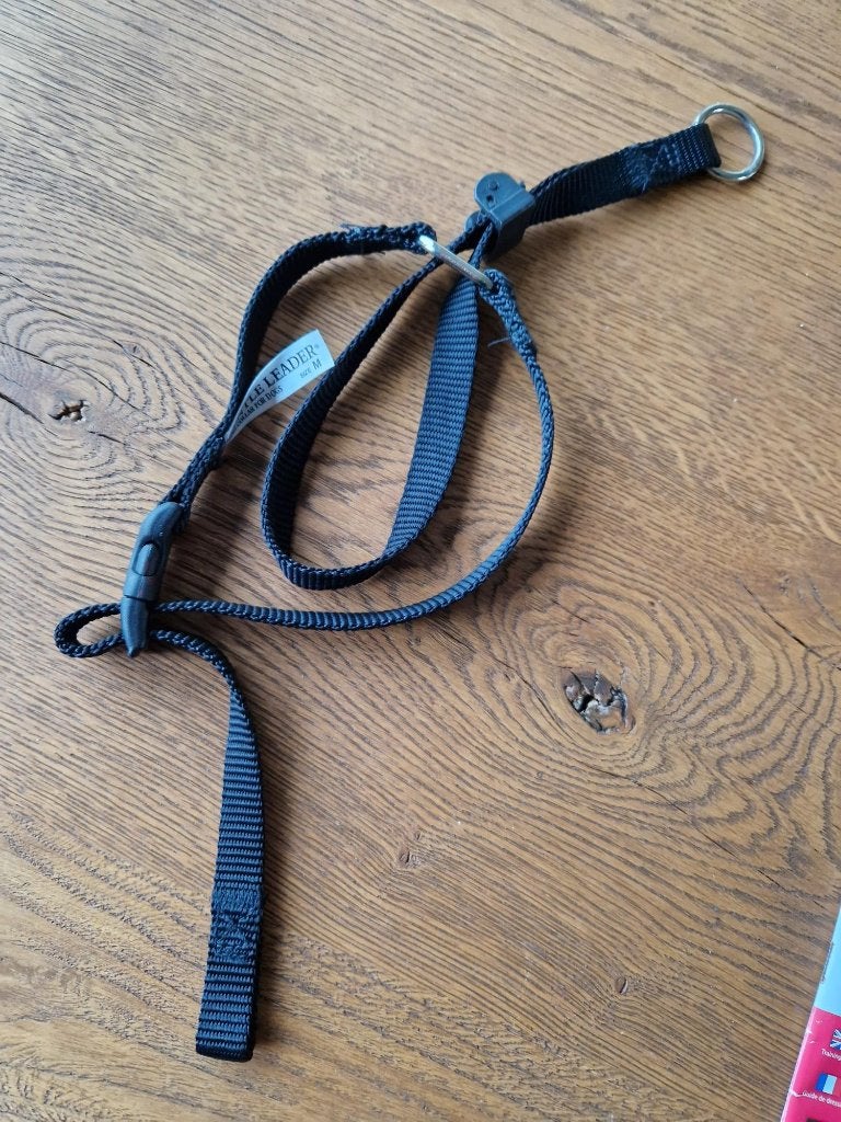 Beaphar anti trek bandje hond (maat M), Ophalen of Verzenden, Zo goed als nieuw, Hondenriem