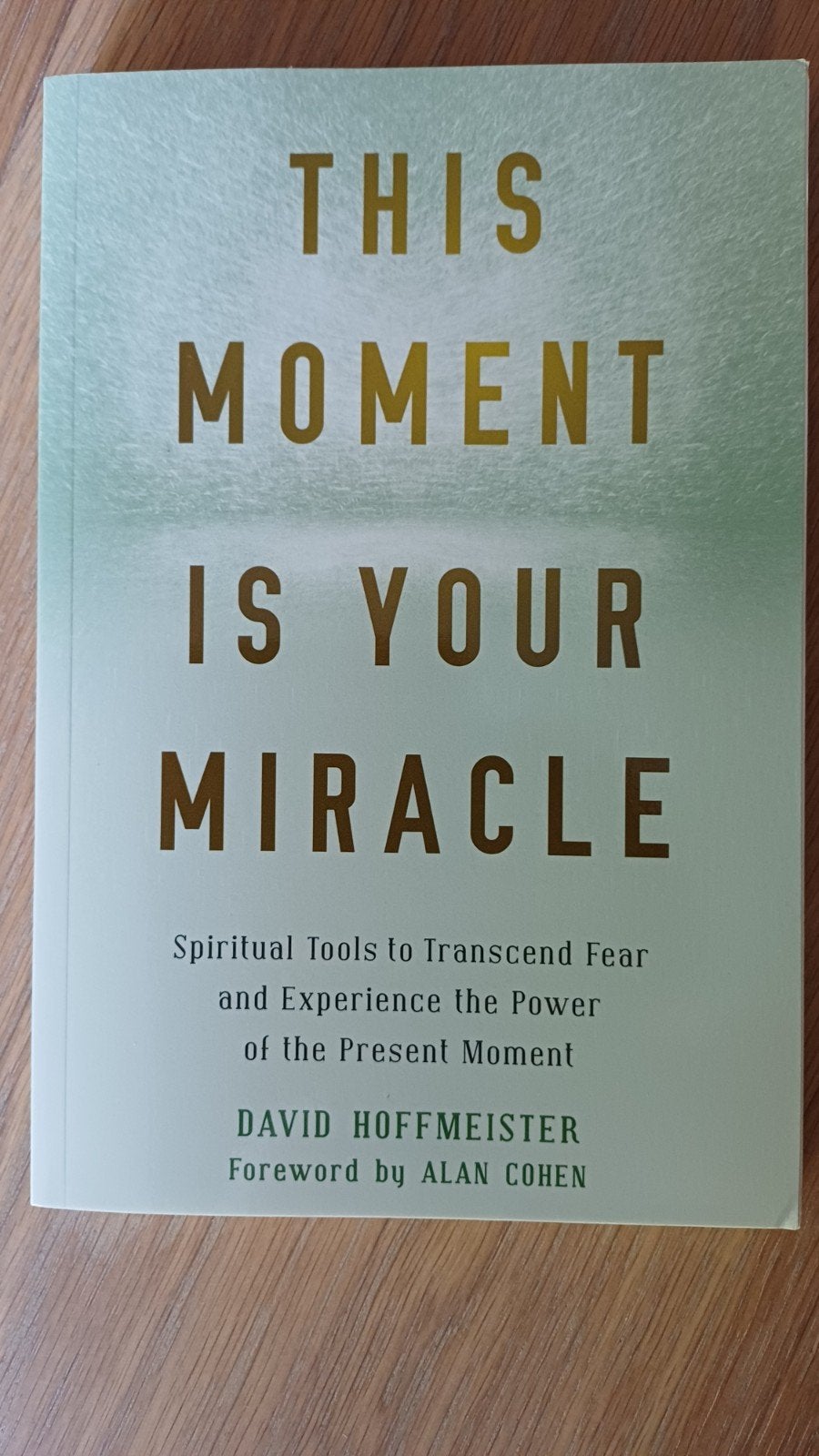 David Hoffmeister This Moment Is Your Miracle, David hoffmeister, Spiritualiteit algemeen, Overige typen, Ophalen of Verzenden