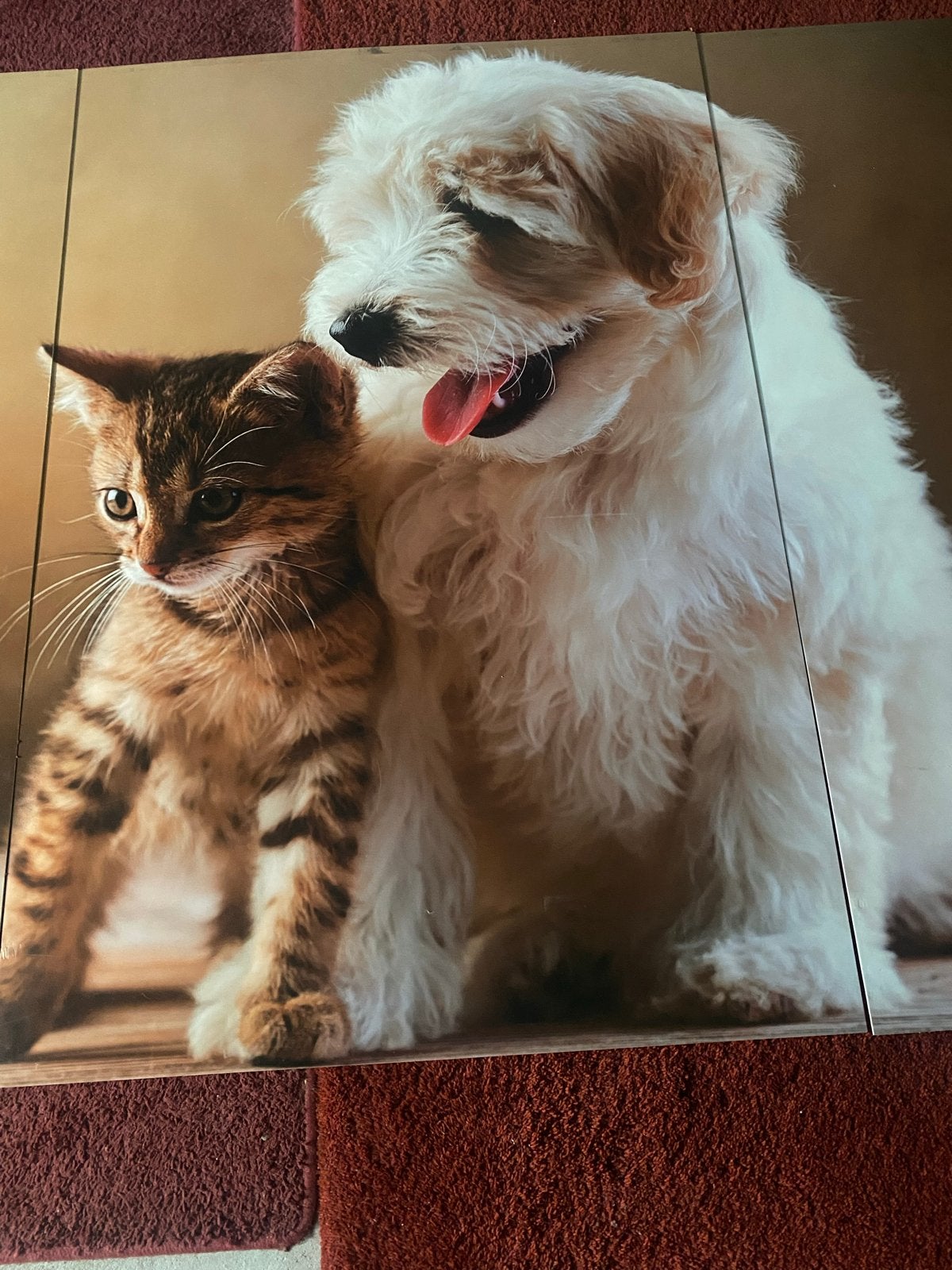 Drie losse platen met puppy en kitten - 150x100 cm, Ophalen, Zo goed als nieuw, 100 tot 125 cm, Print