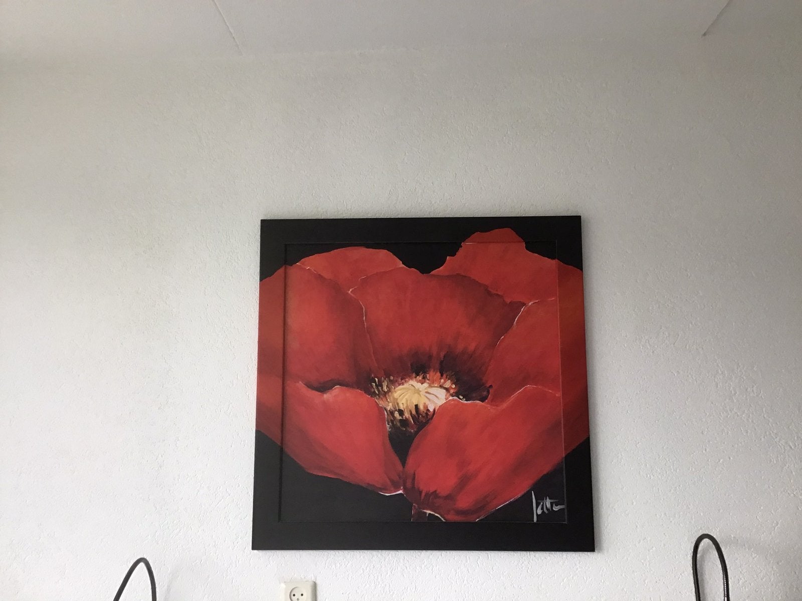 Schilderij met klaproos, Ophalen, Zo goed als nieuw, 75 tot 100 cm, Schilderij