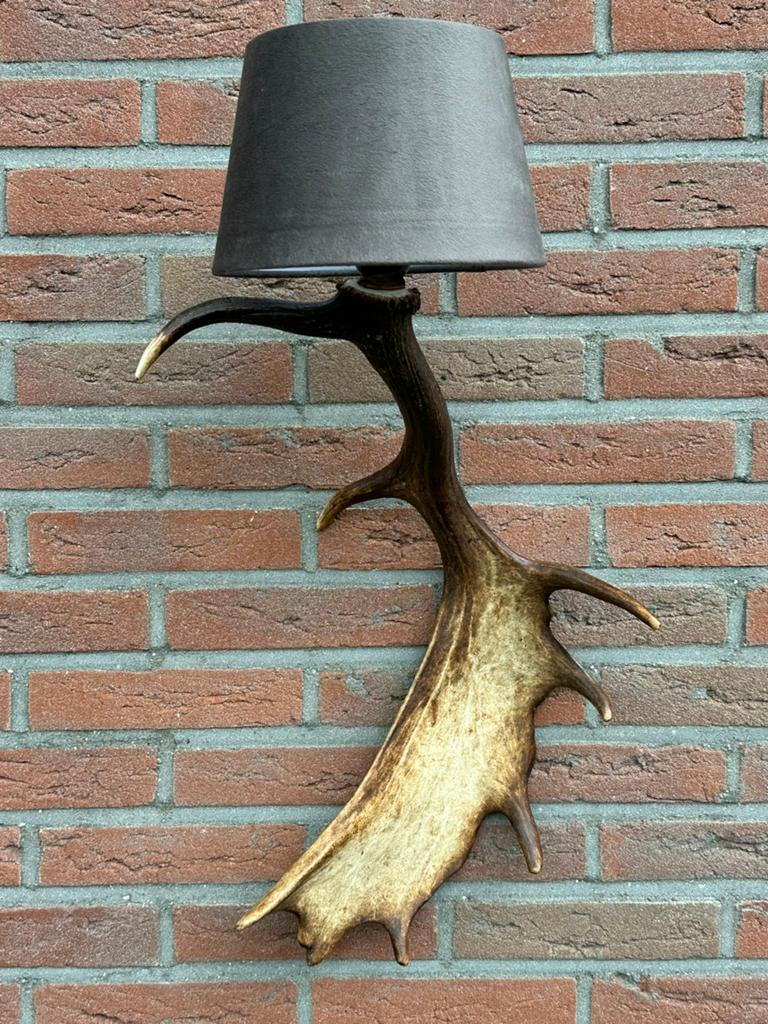 Geweien geweienlamp jacht Veluwe geweien edelhert wandlamp., Huis en Inrichting, Lampen | Wandlampen, Ophalen of Verzenden, Nieuw