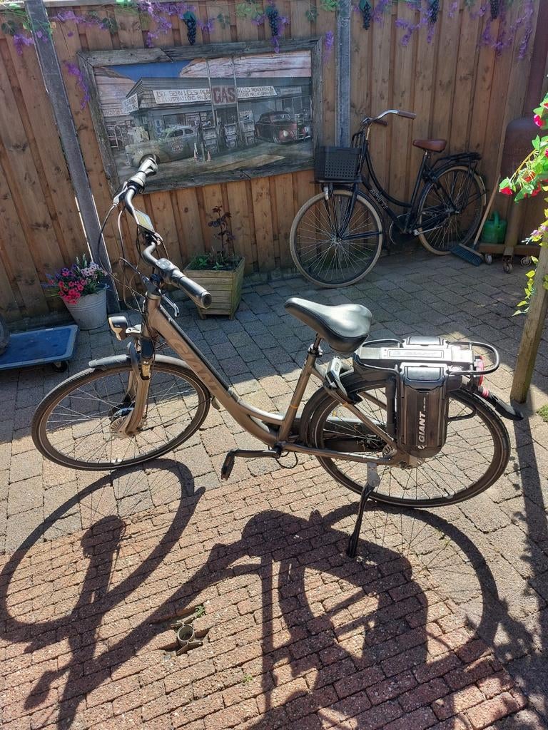 GIANT Electrische fiets, Fietsen en Brommers, 47 tot 51 cm, Ophalen, Gebruikt, Giant