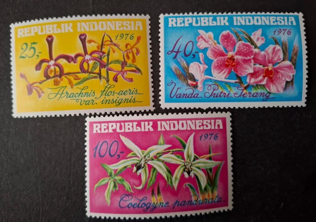 Indonesië orchideeën, Ophalen of Verzenden, Sport