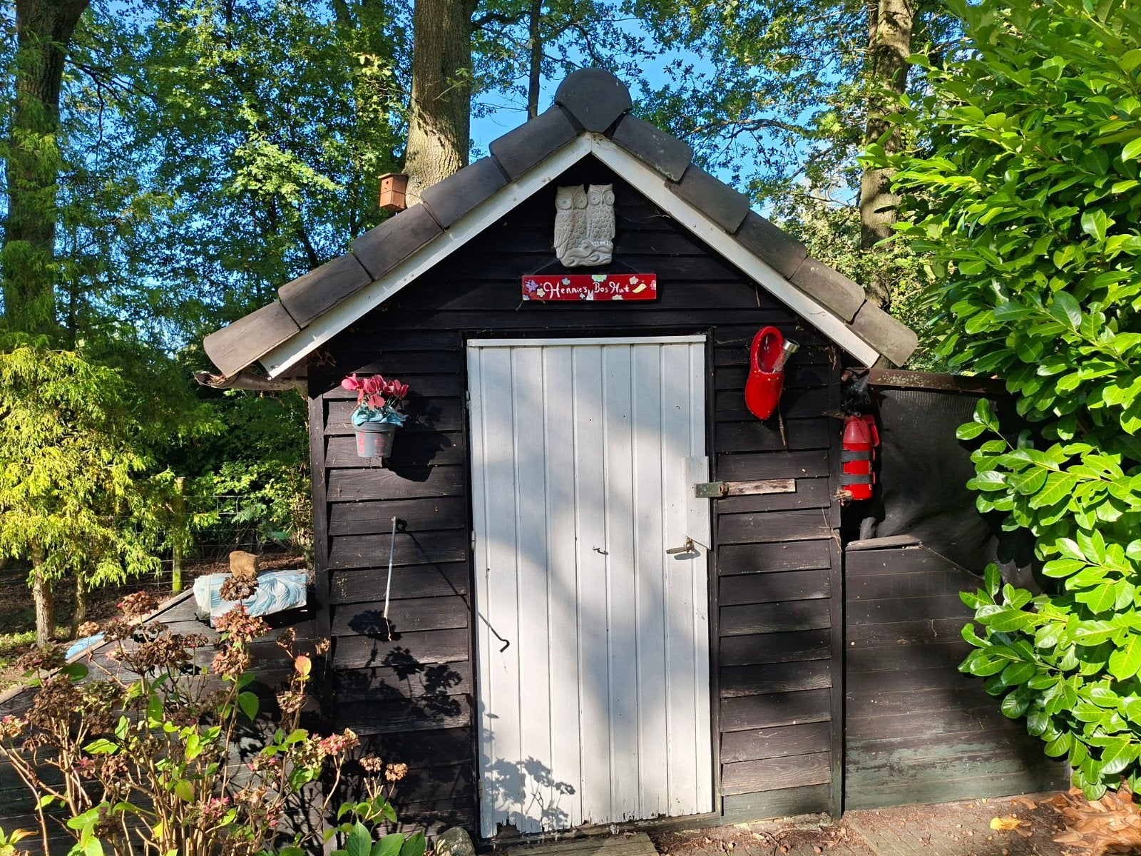 Gratis schuurtje in Holtheme, Tuin en Terras, Ophalen, Gebruikt, Minder dan 250 cm, Schuur