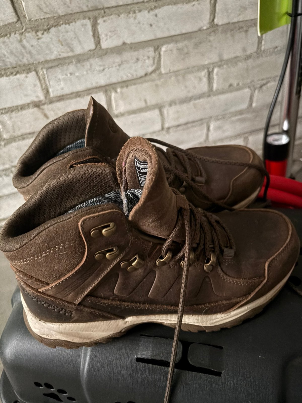 Wandel schoenen, Sport en Fitness, Bergsport en Wandelen, Ophalen of Verzenden, Nieuw, Schoenen