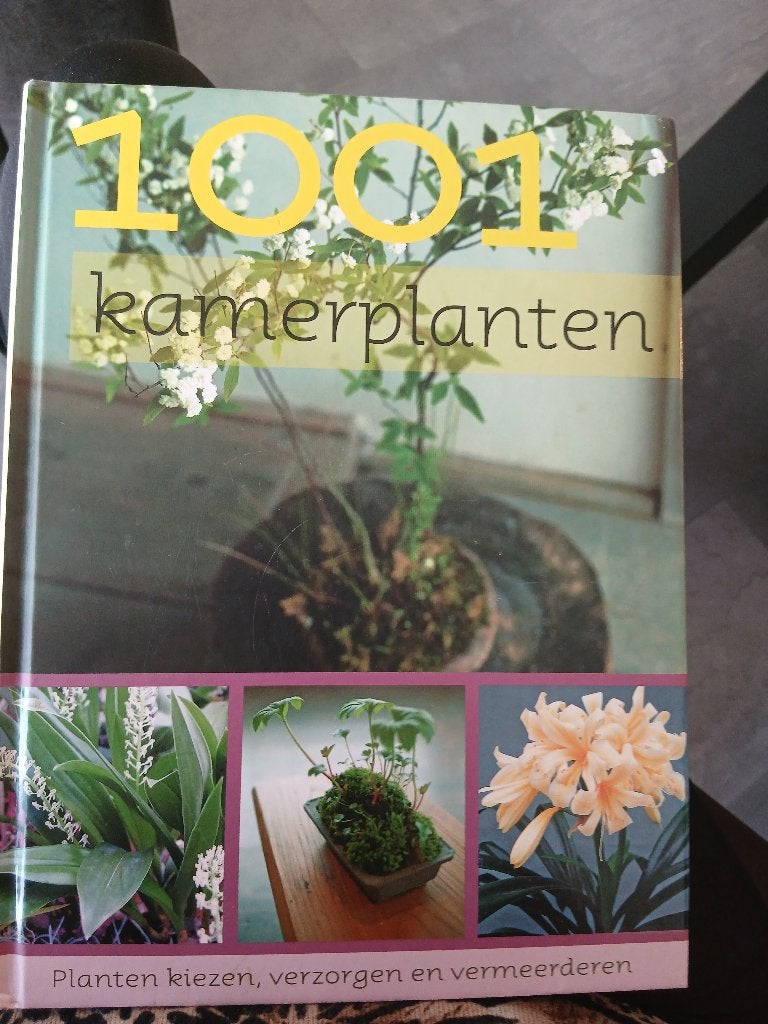 1001 kamerplanten boek, Ophalen, Gelezen, Odile Koenig