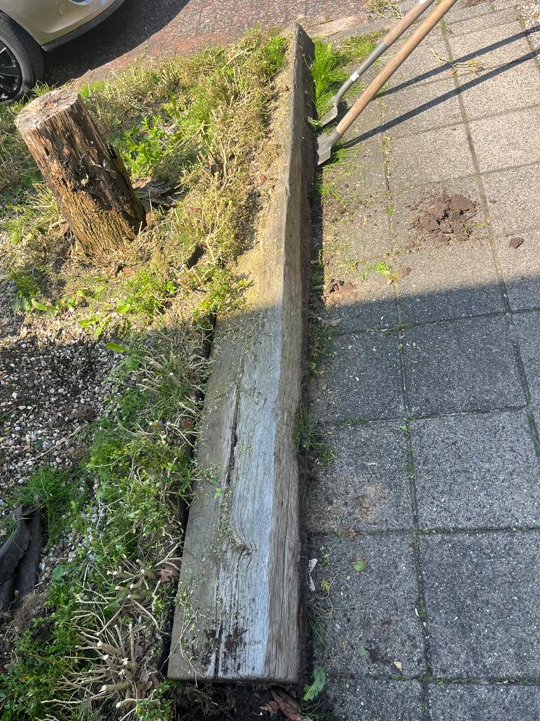 Biels hout gratis, Ophalen, Gebruikt, 250 cm of meer, Planken