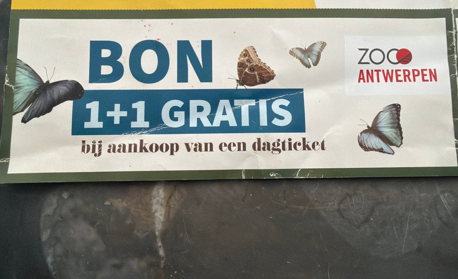 1+1 gratis entreeticket Zoo Antwerpen, Twee personen, Ticket of Toegangskaart