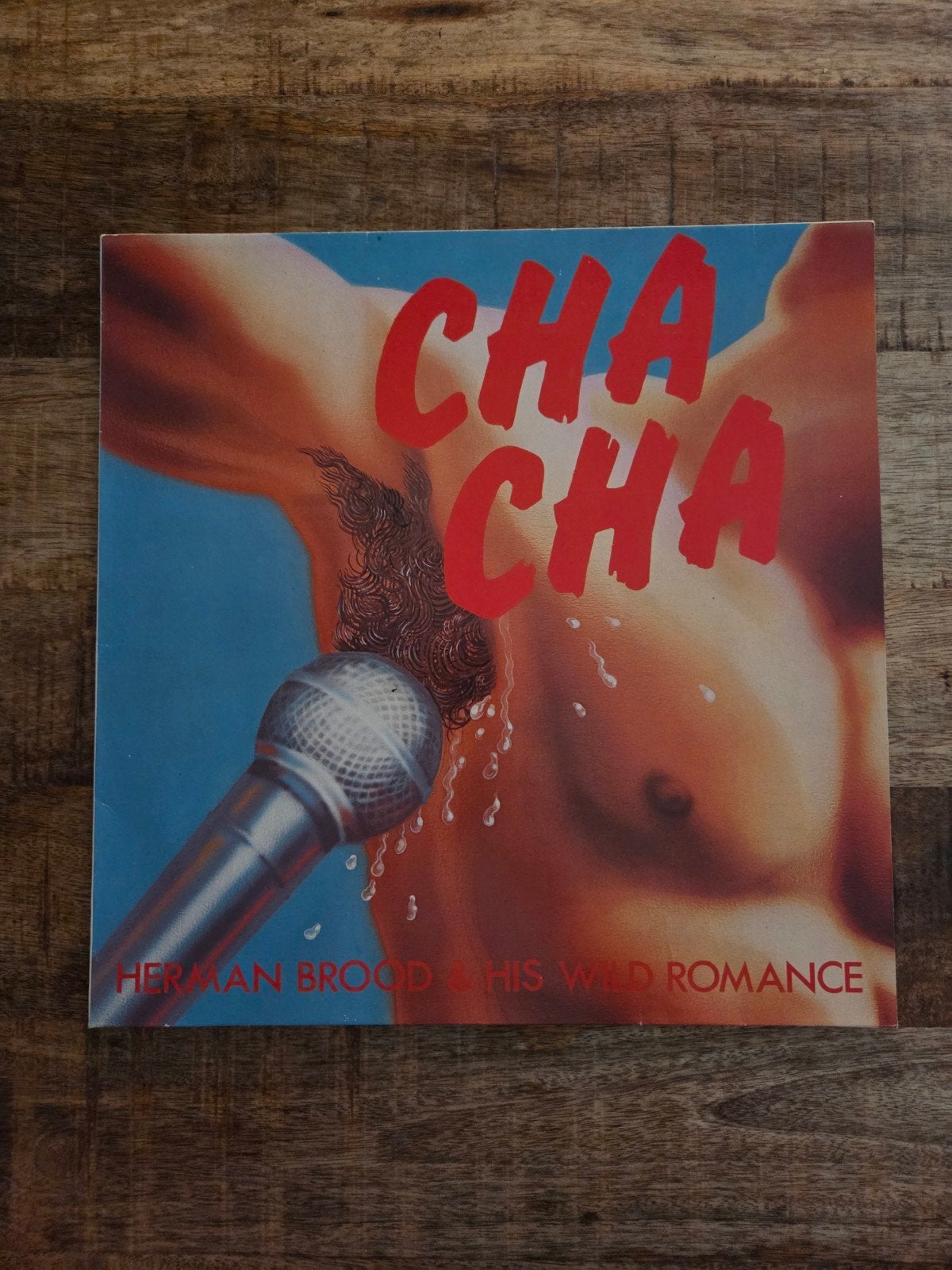 Lp herman brood & his wild romance cha cha, Cd's en Dvd's, Vinyl | Rock, Ophalen of Verzenden