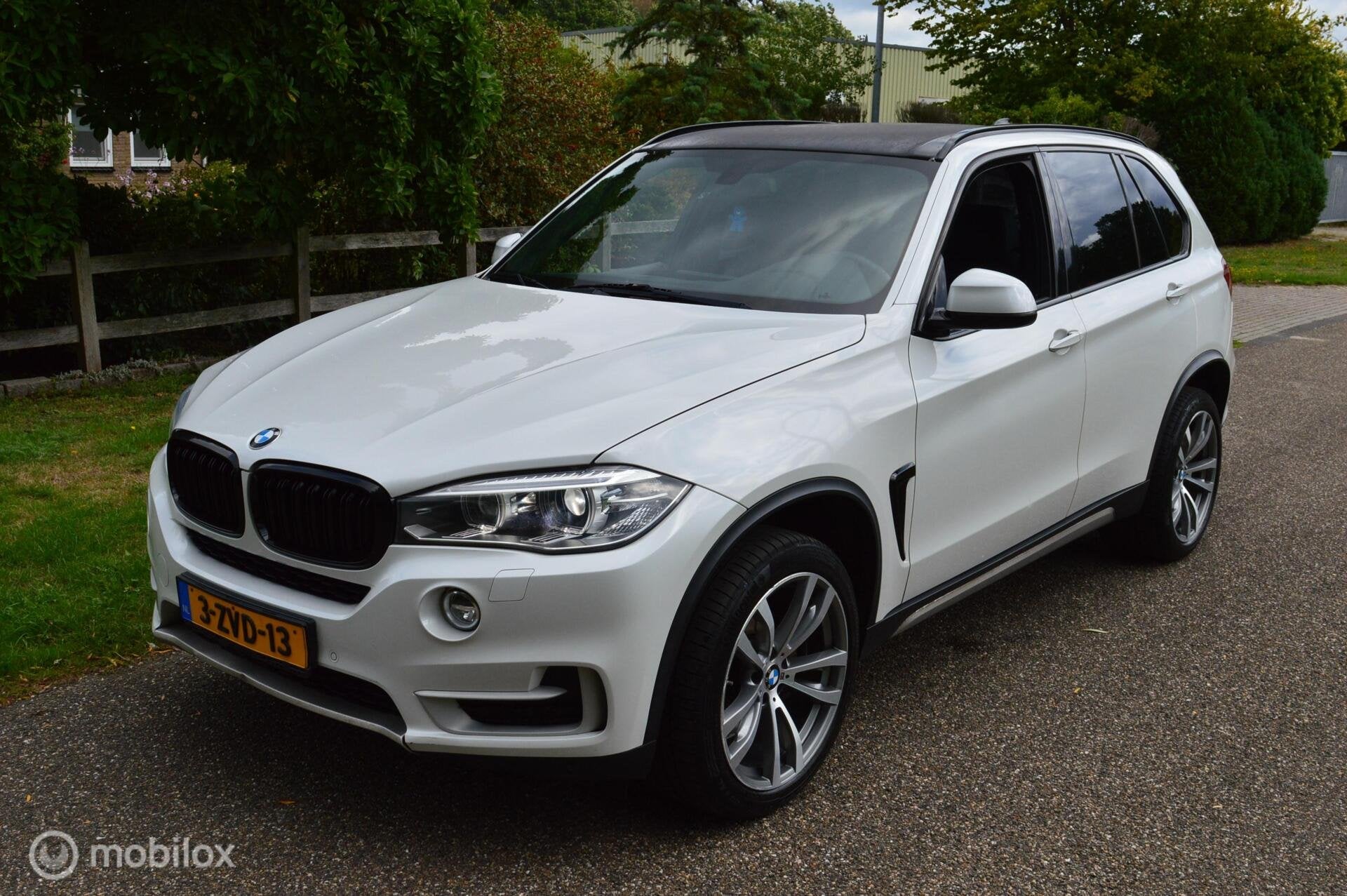 BMW X5 xDrive30d High Executive, Automatische klimaatregeling, Gebruikt, 2993 cc, Wit