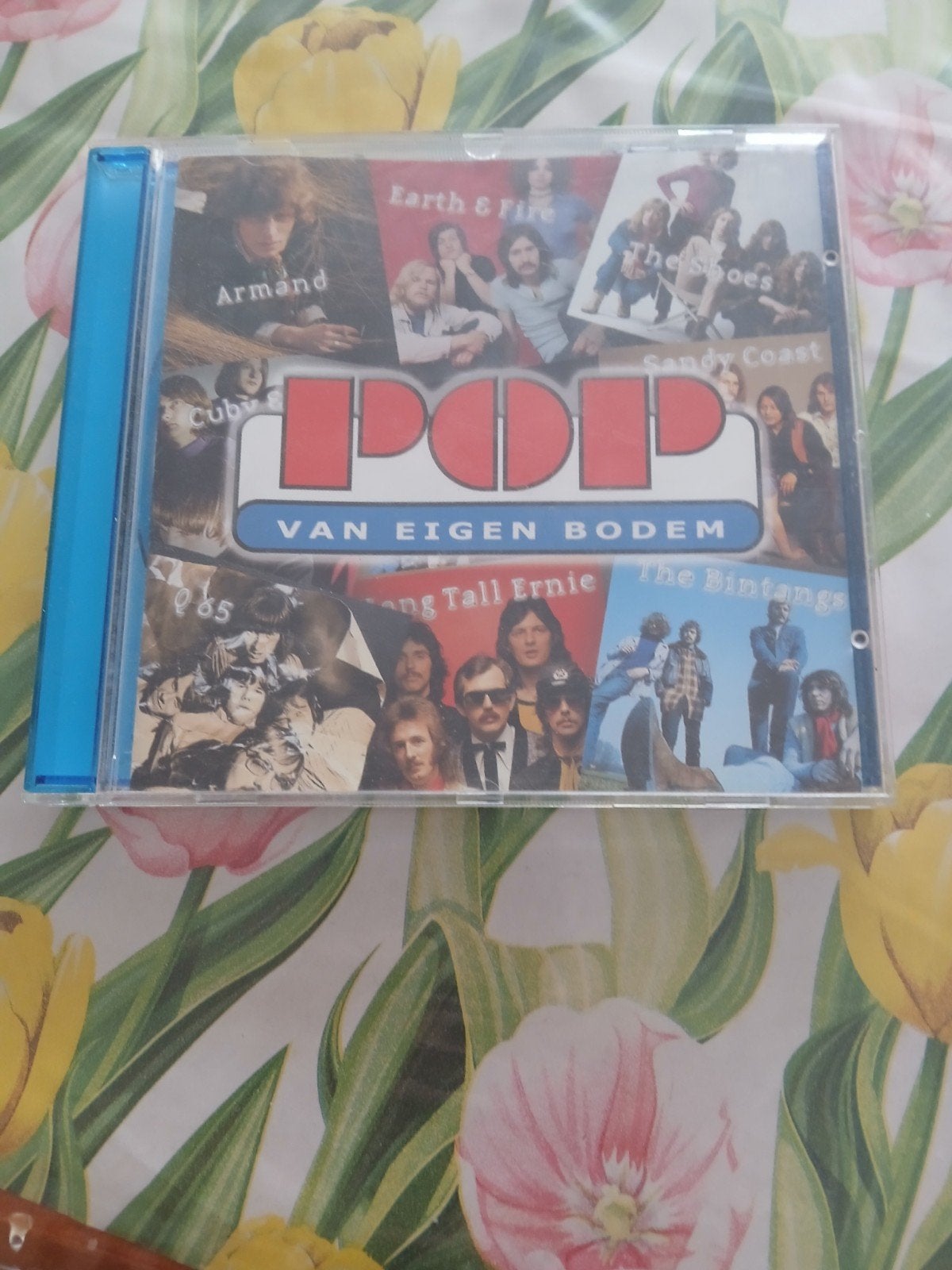 Pop van Eigen Bodem CD - Diverse Nederlandse Artiesten, Ophalen of Verzenden, Gebruikt, Verzamelalbum